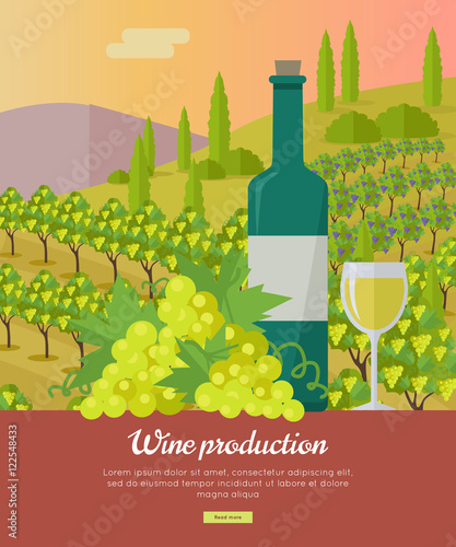 Wine Production Banner. Poster for White Vine.