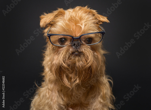  Dog with glasses on a black background