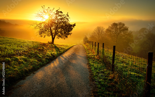 Idyllische Landschaft bei Sonnenaufgang, mit Weg und Baum auf der Wiese