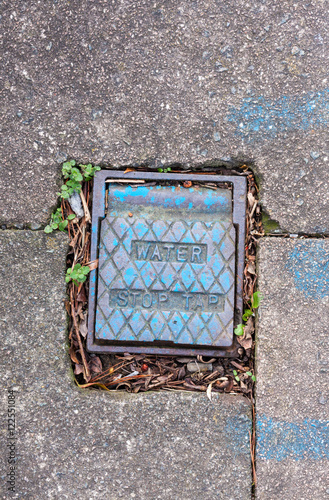 Blue painted water stopcock valve cover found in the pavement on the street