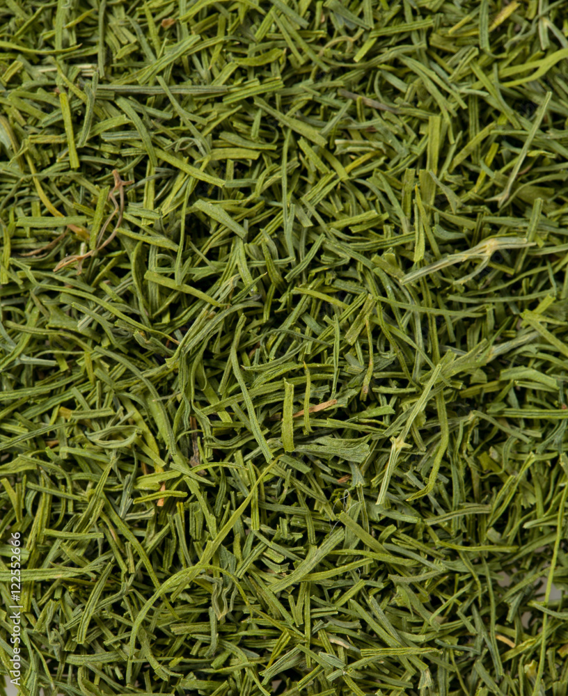 dried dill isolated