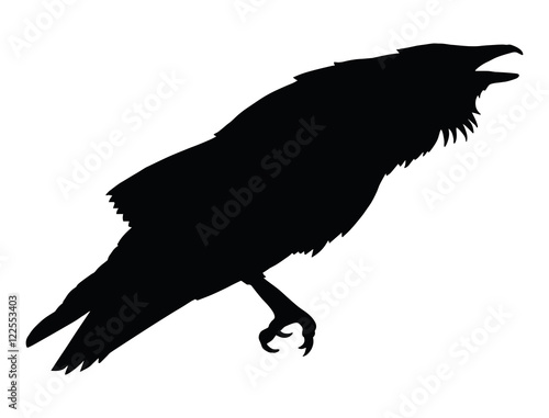 Stylized crows. Decorative bird. Line art. Rook. Black and white drawing by hand. Doodle. Zentangle. Tattoo. Graphic arts.