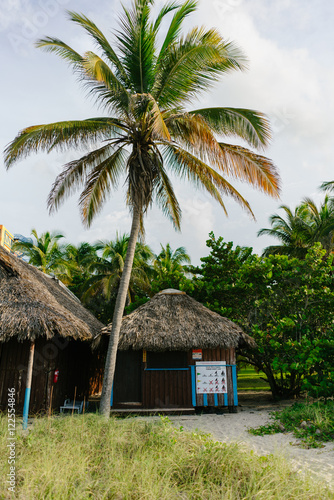 Little House on the beach surrounded by palm trees and sand