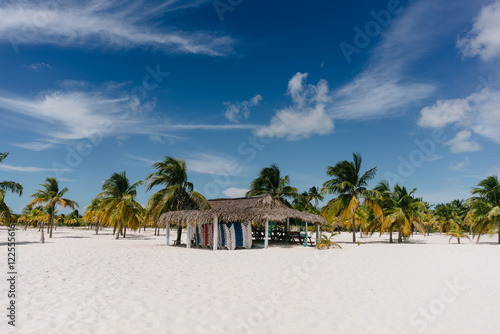 Palm trees on the Caribbean Sea on the sand beach of Cayo Largo, Cuba