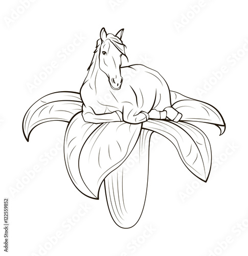 Horse on flower concept. Hand Draw Vector Illustration. Isolated On White Background