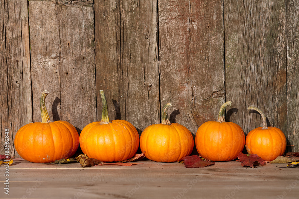 Autumn pumpkins still life Autumn pumpkins still life