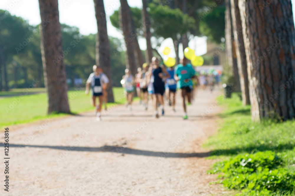 runners in marathon in a park abstract, blurry
runners in marathon in a park abstract, blurry