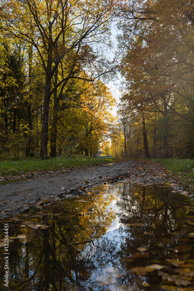 puddle on the edge of the road in autumn park Old park in the town of Pushkin, Russia autumn