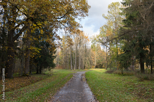 footpath in the city park of Pushkin Old park in the town of Pushkin, Russia autumn