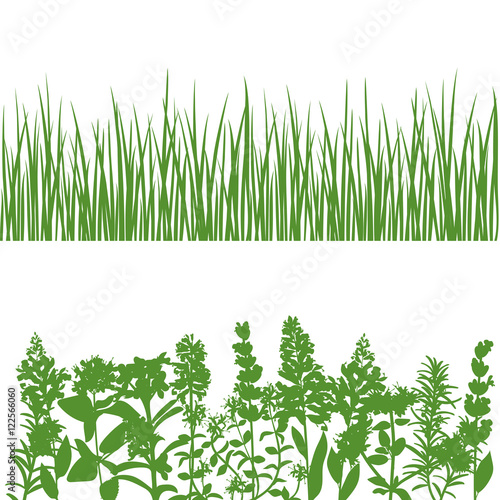 Grass and plants detailed silhouettes on white.