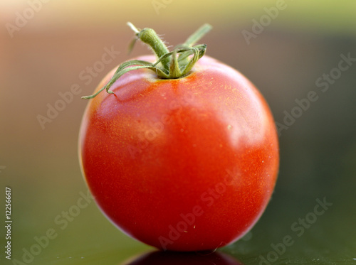 Fotografie Tomate Fandango