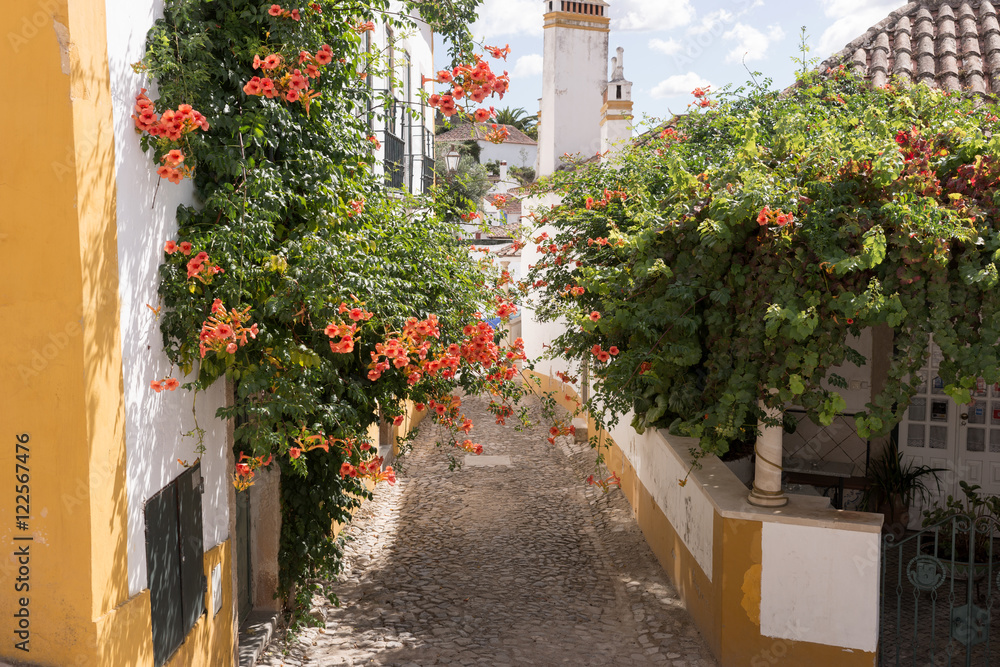 Street with flowers in Obidos, a medieval town in Portugal