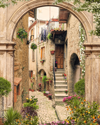 Old arch with open doors. Flovers and antique street view