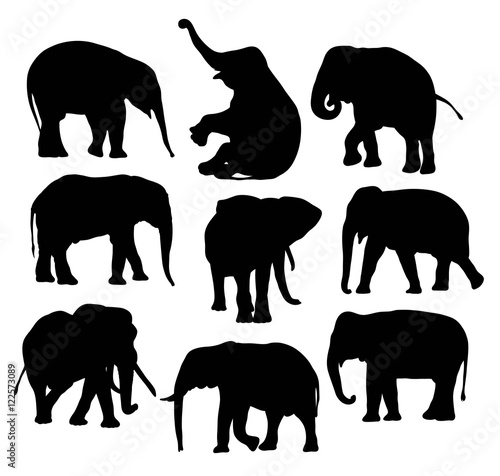 Elephant Silhouettes, illustration art vector design