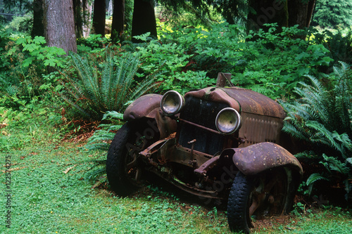 Sayward - rusted antique car at Cable House cafe, Vancouver Island, British Columbia, Canada.  photo