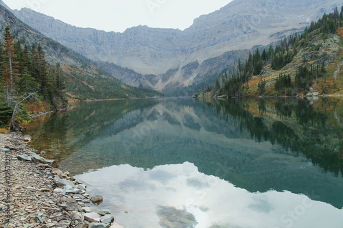 Reflection