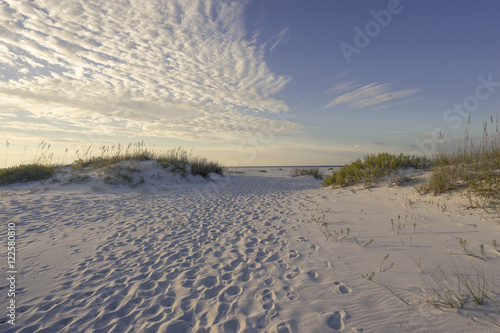 Footprints in the Sand Dunes Early Morning