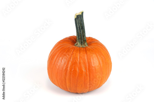 new picked pumpkin isolated on white background