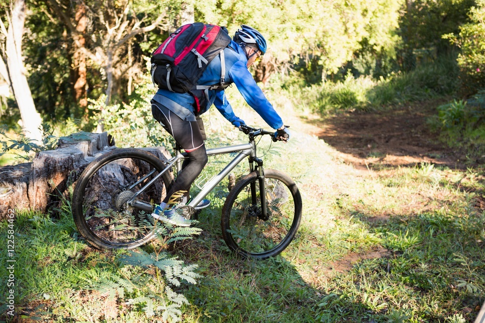 Fototapeta premium Mężczyzna rowerzysta górski, jazda na rowerze w lesie