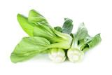 Chinese cabbage or bok choy on white background
