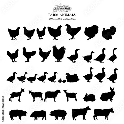 Farm animals silhouettes collection isolated on white vector