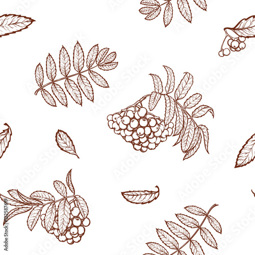Autumn rowanberry leaves and seads seamless pattern