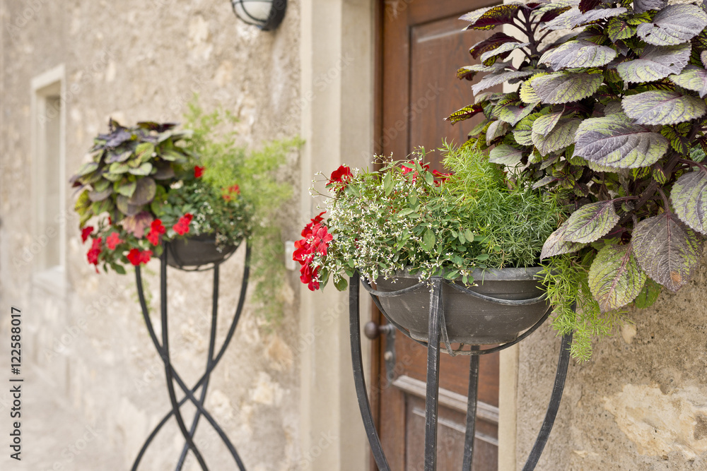 Naklejka premium flower pot in classic garden