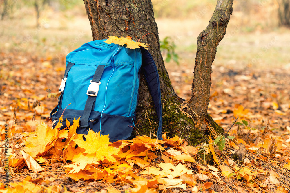 Blue backpack under a tree with fallen leaves in autumn Blue backpack under a tree with fallen leaves in autumn