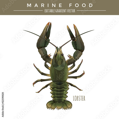 Lobster. Marine Food