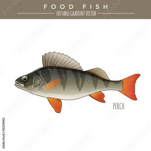 Perch, Food Fish