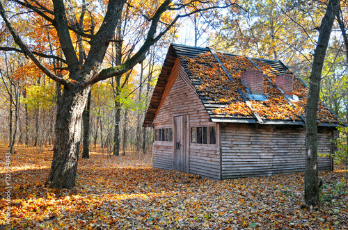 shelter in the beautiful autumn forest