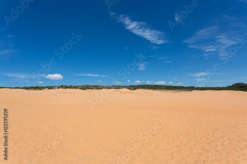 Fototapeta Naklejka Na Ścianę i Meble -  red sand dune desert in Mui Ne, Vietnam