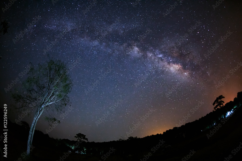 Fototapeta premium Milky Way Galaxy and Silhouette of Tree with cloud.Long exposure