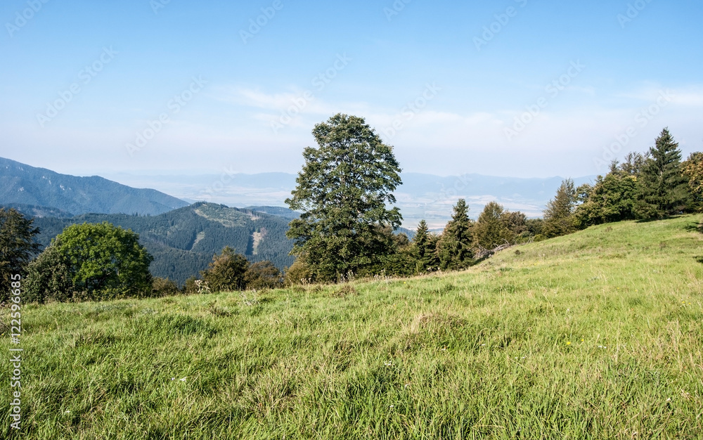 mountain meadow with trees, hills on the background and blue sky in Velka Fatra mountains in Slovakia