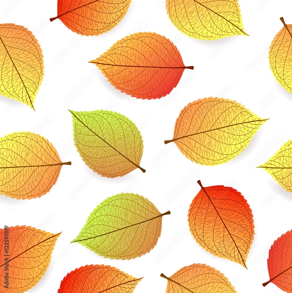 Obraz premium Background with stylized autumn leaves