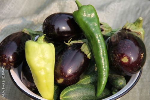 Осенний урожай: желтые и зеленые перцы, огурцы и фиолетовые баклажаны в тазу