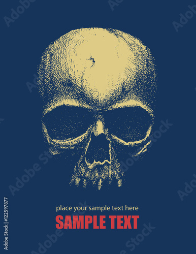 Black and white human skull