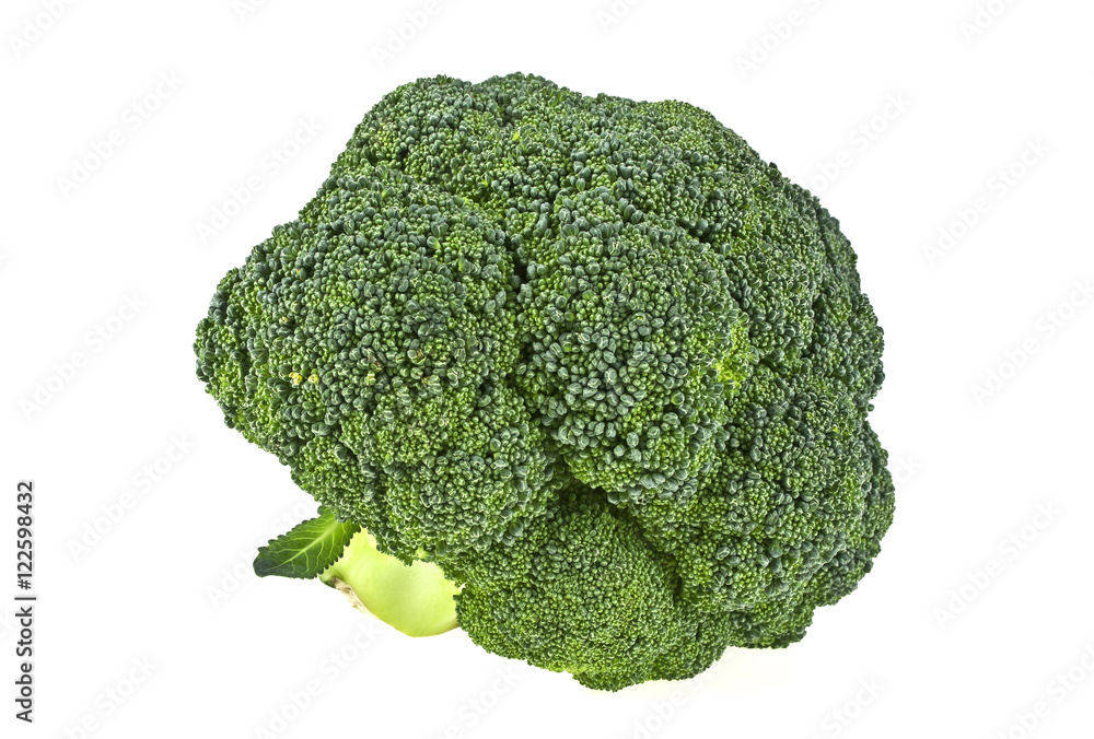 Fresh broccoli isolated on white background Fresh broccoli isolated on white background