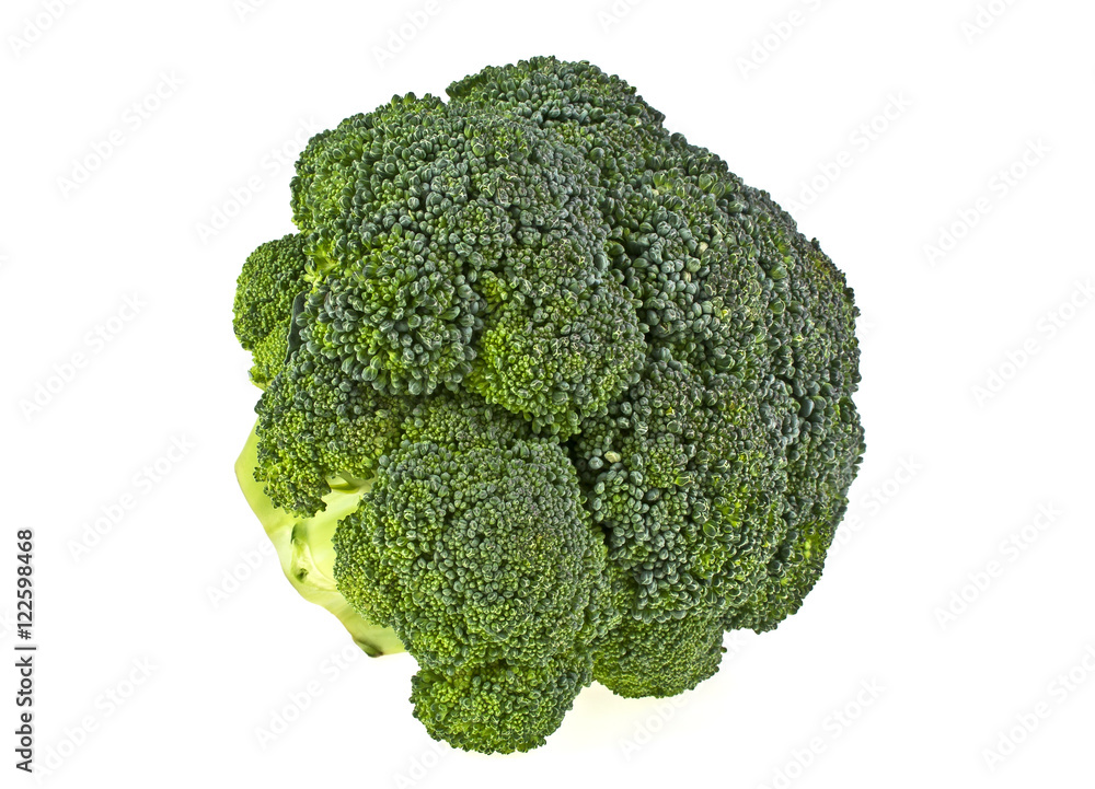 Fresh broccoli isolated on white background Fresh broccoli isolated on white background