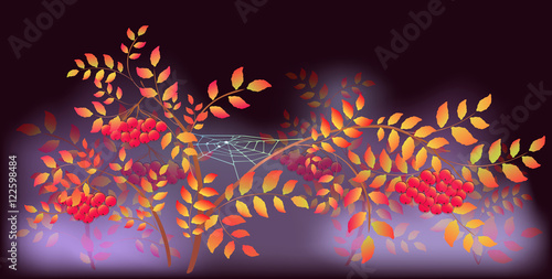 Autumn Landscape with spider webs and dew drops. EPS10 vector illustration