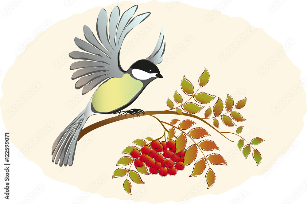Naklejka premium Tit takes sits down with Rowan branches with berries. EPS10 vector illustration.