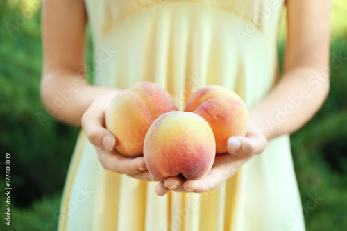 Female hands holding ripe peaches, close up