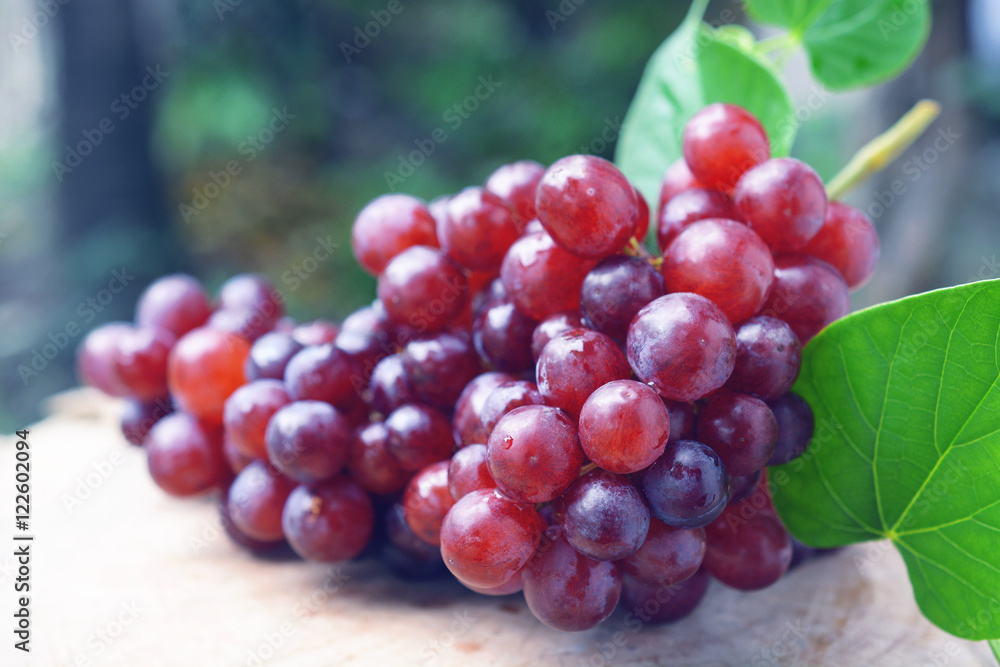 Ripe red grapes bunch on wooden background. Ripe red grapes bunch on wooden background.