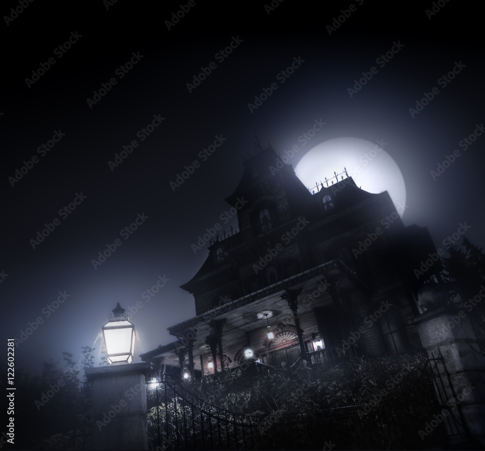 Fototapeta premium haunted house in moonlight