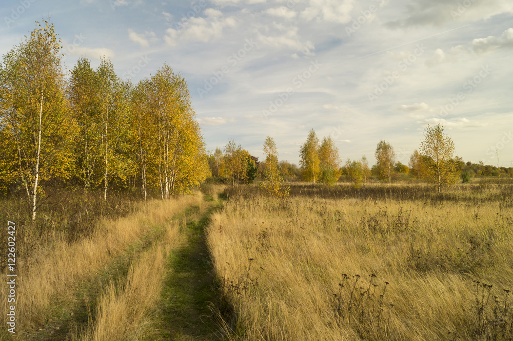 Autumn landscape on background sky