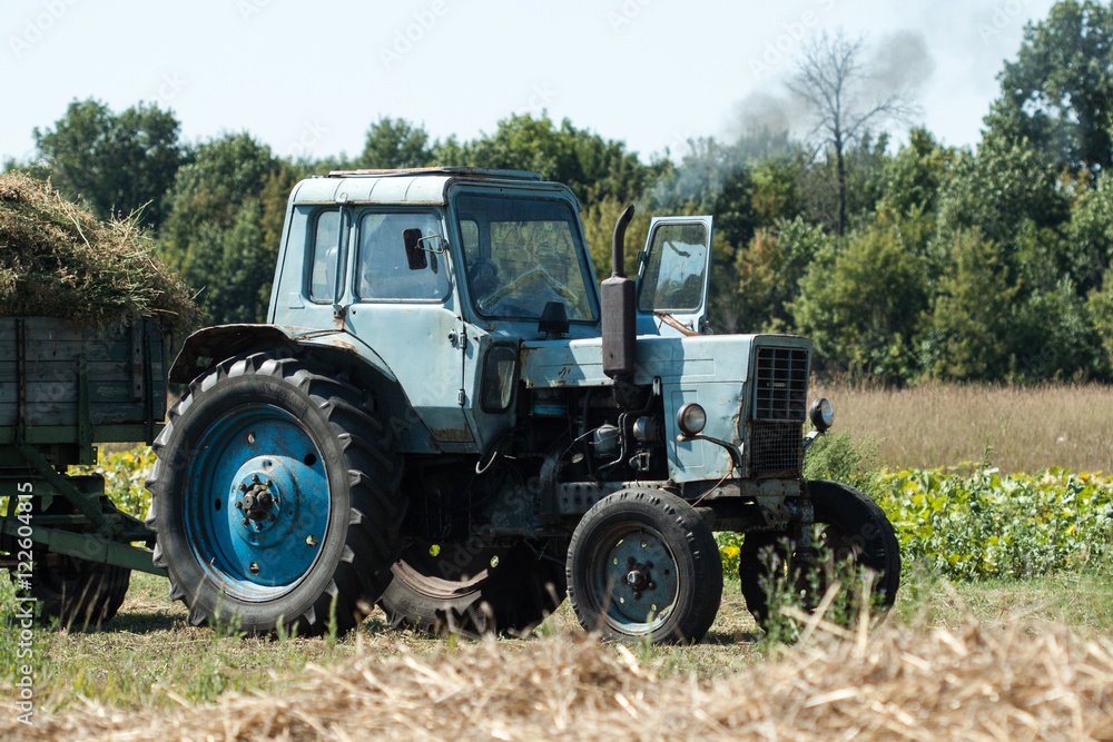 Old tractor in summer on field. Old tractor in summer on field.