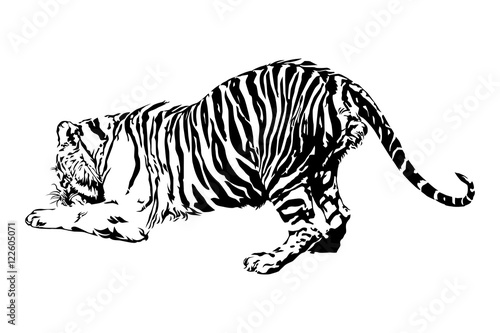 Fototapeta Naklejka Na Ścianę i Meble -  Tigers are enjoying eating.