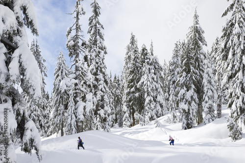 Snowshoers on montain at Mount Seymour Provincial Park in North Vancouver British Columbia Canada photo