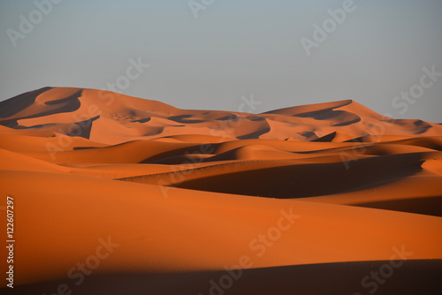 Obraz na płótnie Sahara w salonie