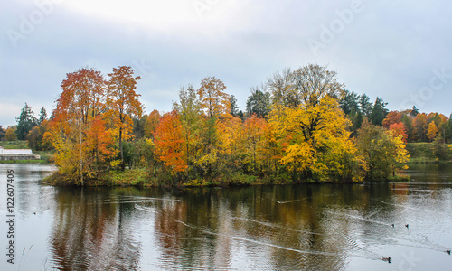 Autumn landscape. Park with lake.